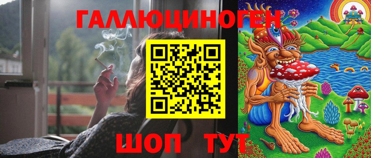 Артём  Псилоцибиновые грибы MAGIC MUSHROOMS  Вход с VPN 