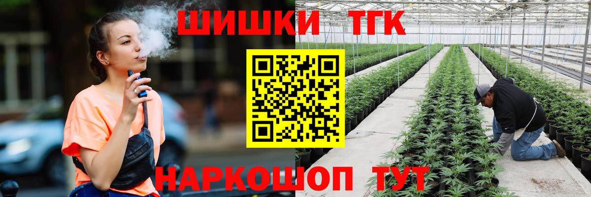 Конопля сатива Артём